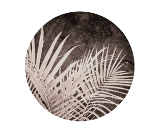 Round vintage palm tree picture - L
